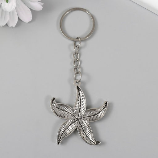 Цена за 12 шт. Брелок для ключей на кольце «Морская звезда», металл, 4.8×4.3 см
