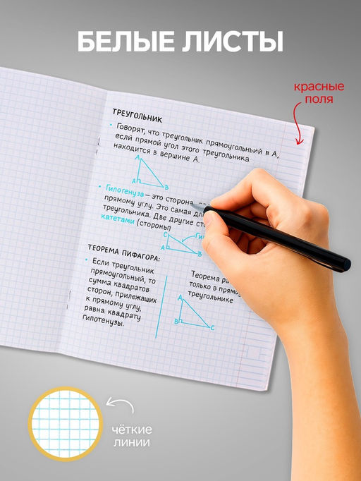 Комплект тетрадей, 48 листов в клетку Calligrata Фактура, 10 штук  фото 3