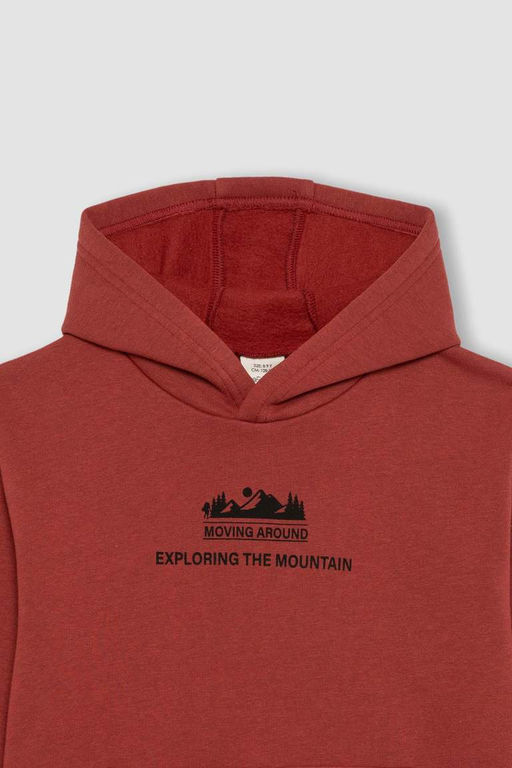 Толстая толстовка с капюшоном и принтом для мальчиков - Defacto фото 6