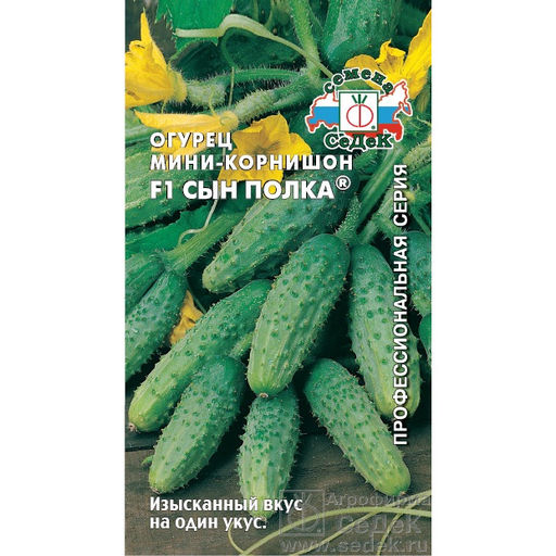 Огурец Сын Полка F1 0,3г (СеДеК)