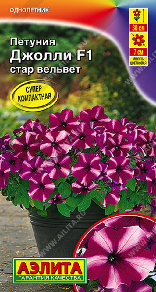 Петуния Джолли стар вельвет F1 многоцветковая --- Одн (драже в пробирке)