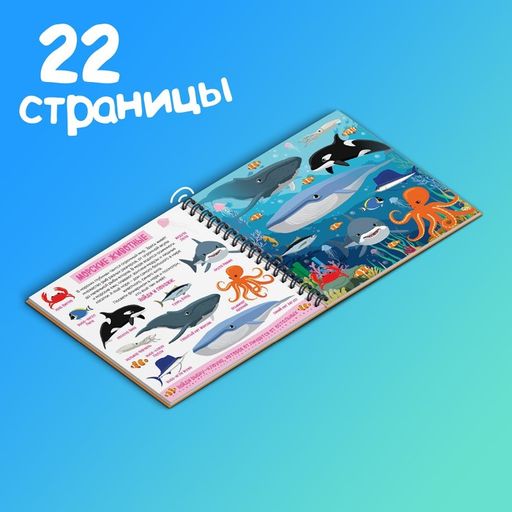 Секретная книга с волшебным фонариком Зооленд, 22 стр. - Буква-Ленд фото 6