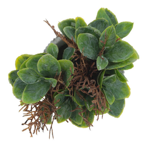 Цветочная композиция, L11 W11 H16 см, 2в. - Remeco фото 4