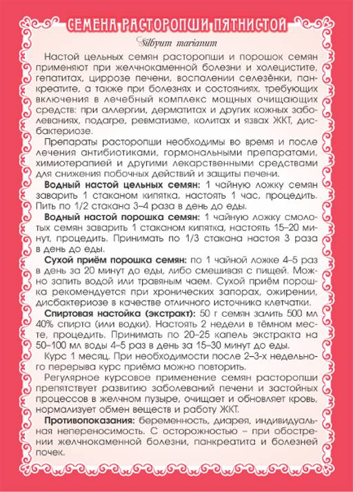 2 шт. Расторопша пятнистая (семена) - Мариславна фото 3