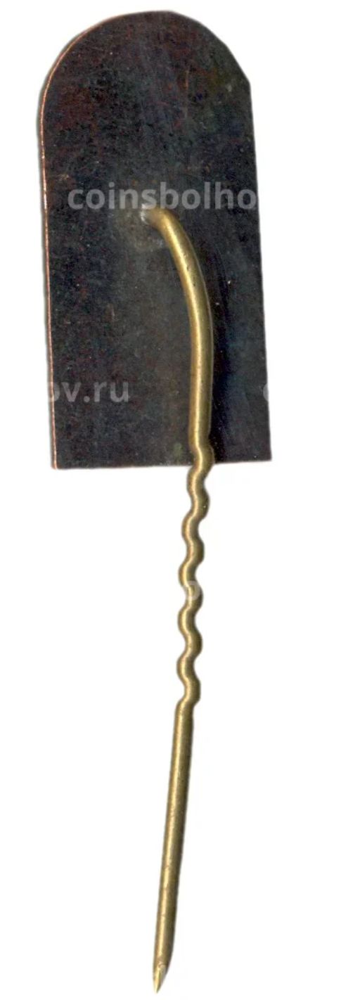 Значок Вильнюс