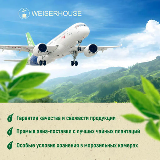 Живой чай / Белая обезьяна (живой чай), 1 уп. * 100 гр. - Weiserhouse фото 10