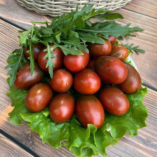 Томат СЛИВА ЧЁРНАЯ  Обсыпной! Сладкий! Холодостойкий! Лёжкий! Идеален для консервирования! - Уральский дачник фото 11