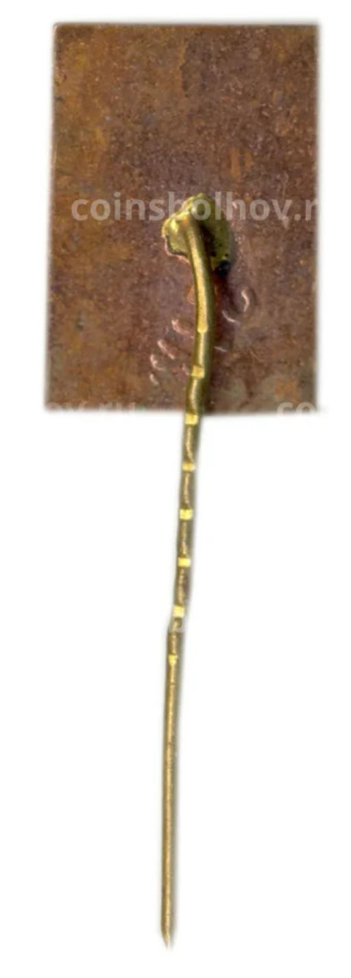 Значок Симонас Даукантас