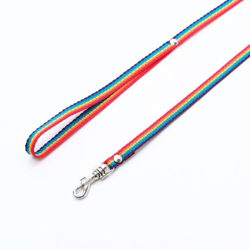Поводок капроновый Радуга, 1,6 м х 1 см - Пижон фото 2