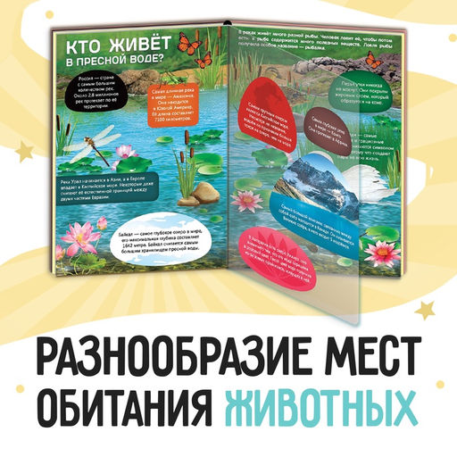 Энциклопедия с прозрачными страницами «Жизнь на земле. Животные и где они обитают», 30 стр.