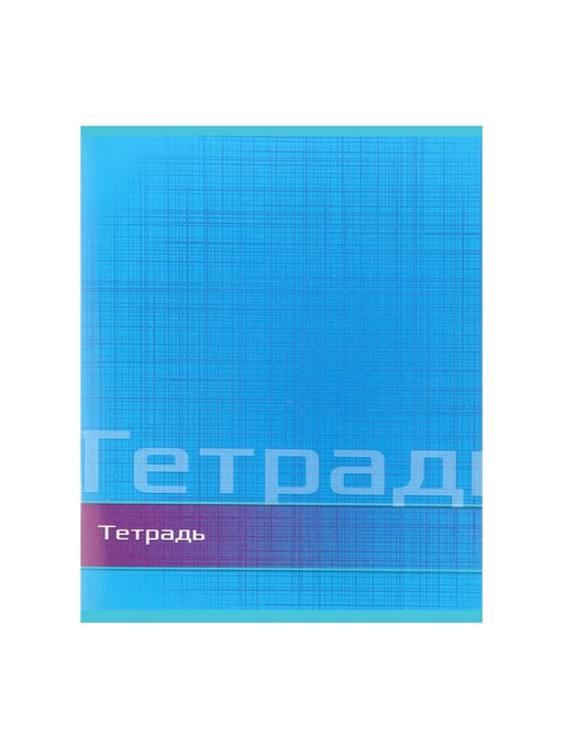Цена за 10 шт. Тетрадь 48 листов в линейку, Calligrata «Цвет и графика», серые листы, МИКС