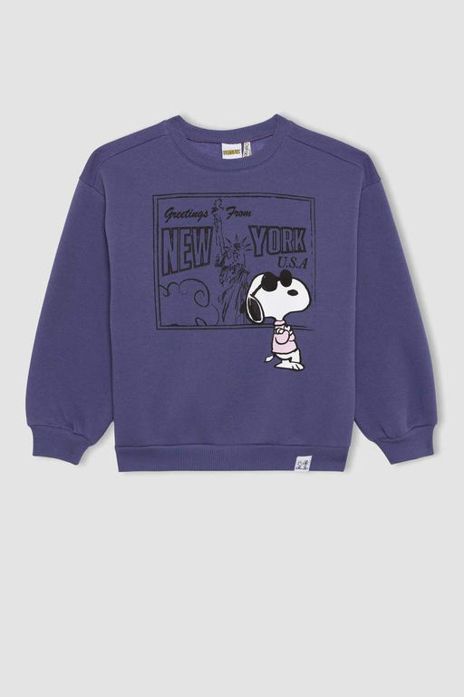 Толстовка с круглым вырезом Snoopy для девочек - Defacto фото 7