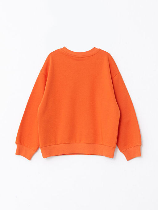 Bisiklet Yaka Bask?l? Uzun Kollu K?z ?ocuk Sweatshirt - Waikiki фото 2