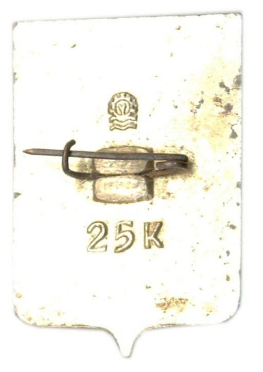 Значок Мурманск