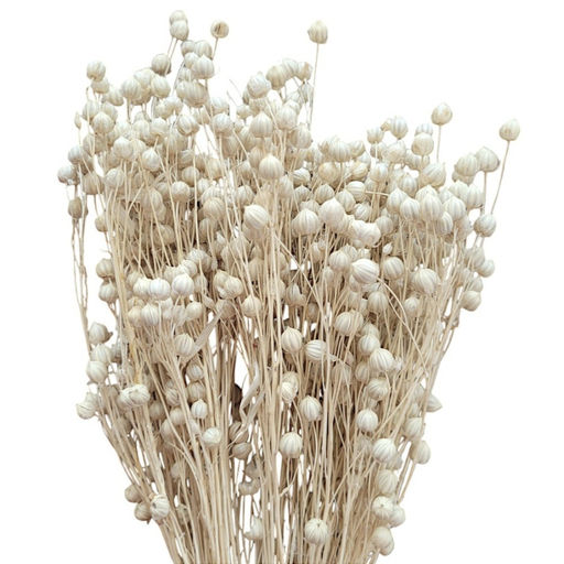 Лен отбеленный, пучок 60г, 60 колосьев, h 60-70см