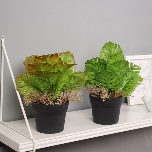 Искусственный цветок в горшке Асплениум премиум, 21?10.5 см, МИКС