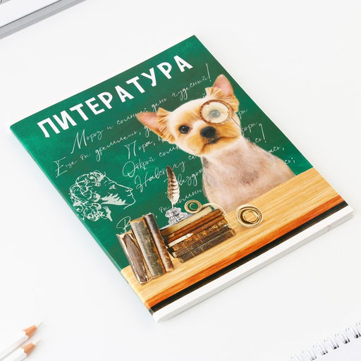 Предметная тетрадь, 48 листов, МИЛЫЕ ПИТОМЦЫ, со справочными материалами Литература, обложка мелованный картон 230 гр., внутренний блок в линейку 80 гр., белизна 96%,блок №1. - Artfox study фото 2