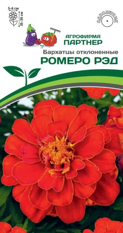 Бархатцы отклоненные Ромеро Рэд - Партнер фото 2