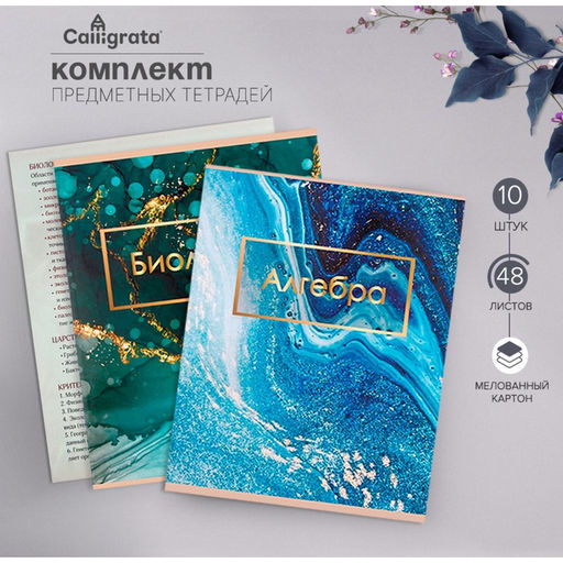 Тетради предметные Calligrata «Мрамор светлый», 10 предметов, 48 листов, со справочным материалом, обложка из мелованного картона