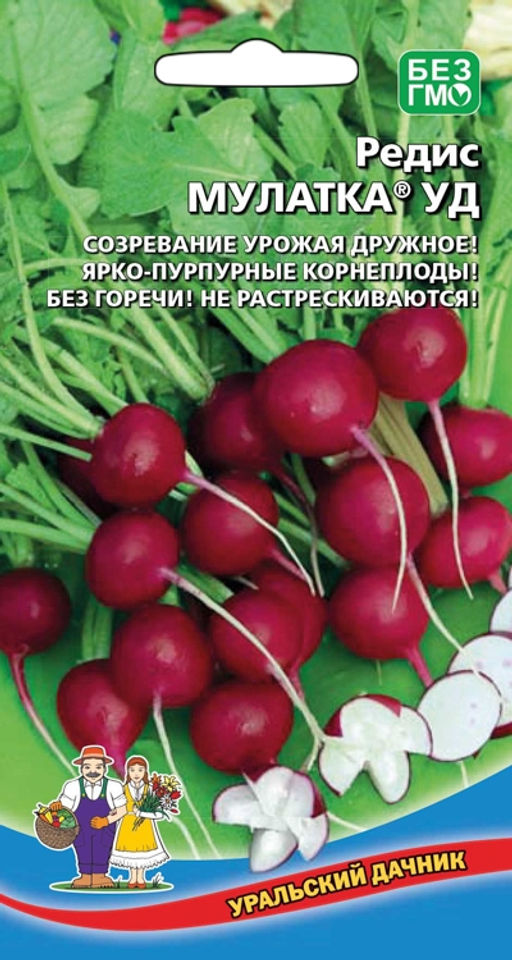 Редис МУЛАТКА УД Дружное созревание урожая! Ярко-пурпурные корнеплоды! Без горечи! Не растрескиваются!