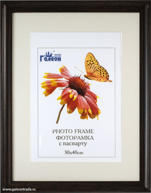 Рамка для оформления вышивки 30х40 с паспарту 8024 / ZR8510B-H35 /окно 21х30