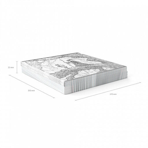 Цена за 5 шт. Тетрадь общая ученическая ErichKrause Монохромная история, 48 листов, клетка, твин-лак_MIX-PACK фото 11