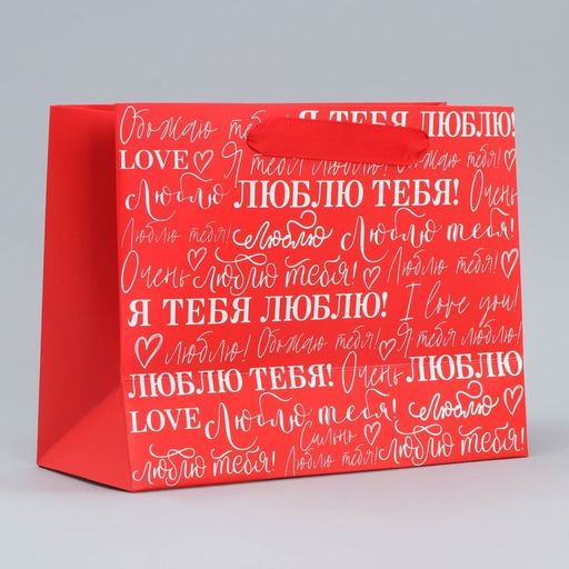 Цена за 2 шт. Пакет подарочный ламинированный, упаковка, «Люблю», MS 23×18×10 см
