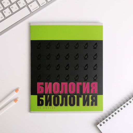 Тетради предметные, 48 л., набор из 10 шт. «ШРИФТЫ»