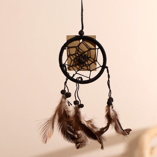 Ловец снов «Гармония», 6×0.5×20 см, чёрный, коричневые перья