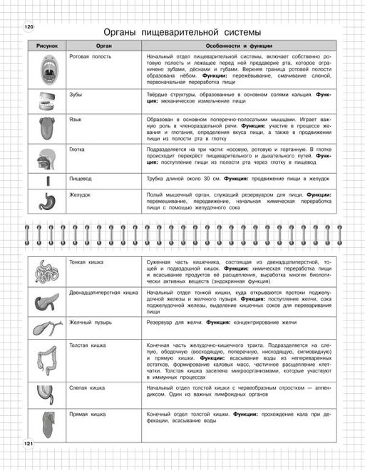 Биология: 5-11 классы