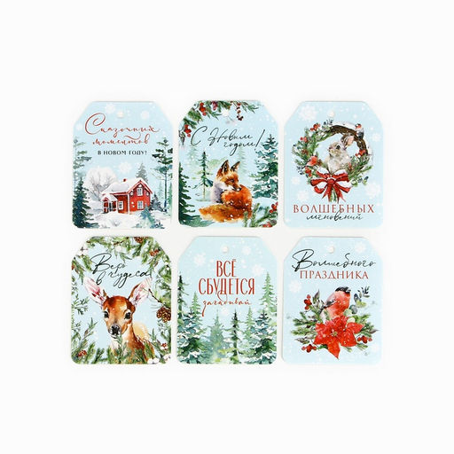 Цена за 10 шт. Шильдик новогодний на подарок «Верь в чудеса», набор 6 штук, 16×24 см