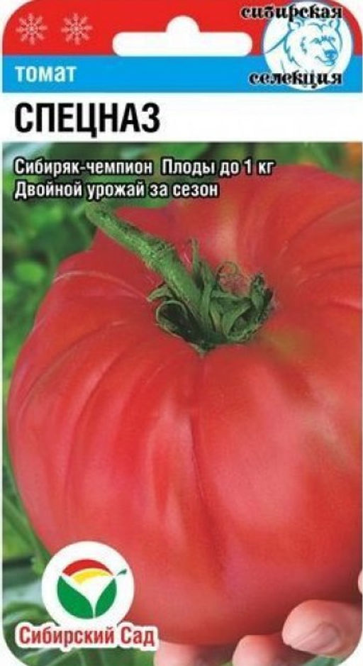 Спецназ томат 20шт (сс)