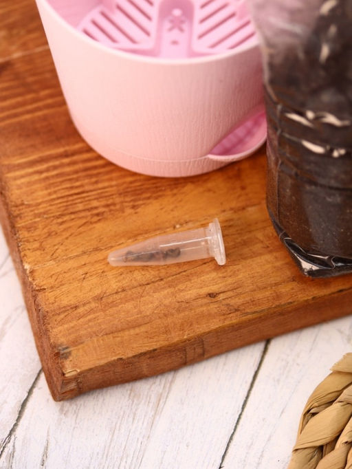 Наборы для выращивания, mix (уценка)