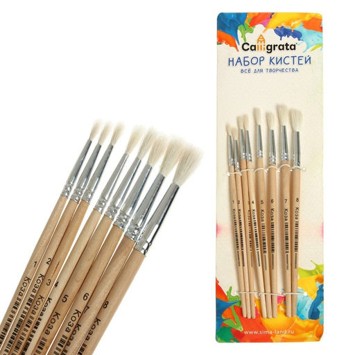 Набор кистей для рисования, коза, 8 штук: № 1, 2, 3, 4, 5, 6, 7, 8, круглые, деревянная ручка, международный размер