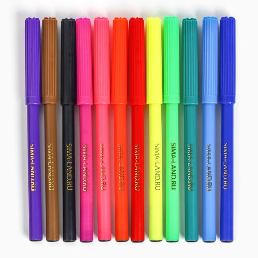 Цена за 2 шт. Фломастеры 12 цветов в коробке «Букибяки»