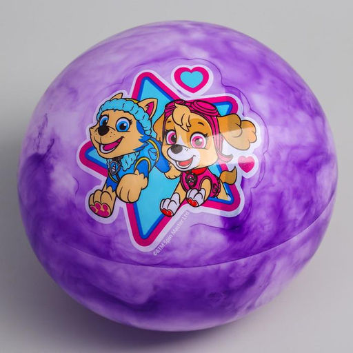 Мяч детский Paw Patrol Скай и Эверест, 22 см, 60 г, мрамор, МИКС  фото 2