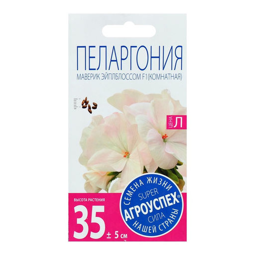 Семена комнатных цветов Пеларгония «Эйплблоссом», 4 шт., «Агроуспех»