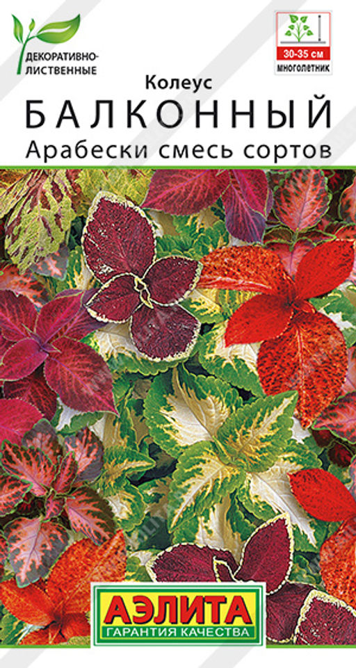 Колеус балконный Арабески, смесь сортов (2026)