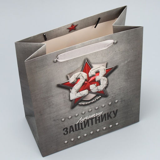 Цена за 2 шт. Пакет подарочный ламинированный, упаковка, С 23 февраля, MS 18?23?10 см