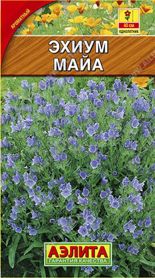 6140U Эхиум Майа 0,5гр