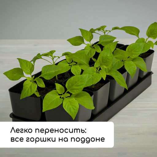 Набор для рассады: стаканы по 300 мл (12 шт.), поддон 45×18 см, МИКС, Greengo