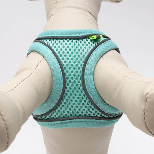 Комплект с мягкой шлейкой, размер XXS, поводок 150 х 1,5 см, ОГ 28-30 см, ОШ 24-26 см, бирюз - Пижон фото 5