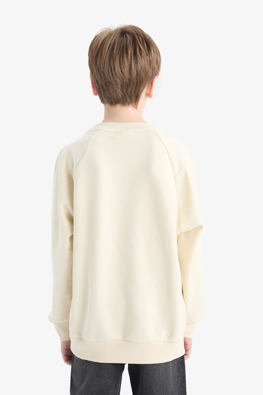 Bisiklet Yaka Basic D_z Okul Sweatshirt Erkek _ocuk - Defacto фото 6