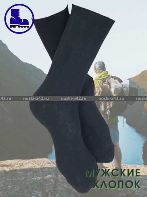 Цена за 10 пар. Пирамида носки мужские М-10 черные 29  фото 47