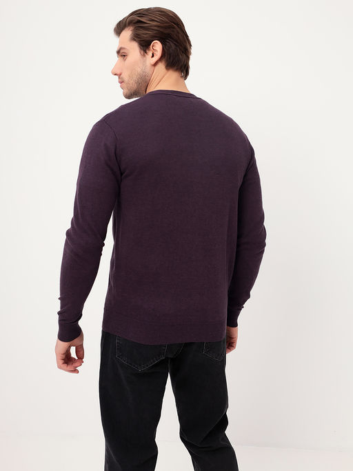 Кардиган мужской GREG G135-AC147 (фиолет м.)  фото 5