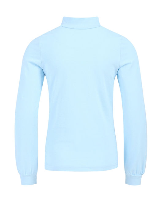 водолазка 1ДДВД4308804с - Апрель фото 2