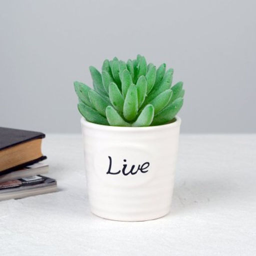 Кашпо 7,5 см / 1518 /уп 12/120/белое - ГалеонТрейд фото 7