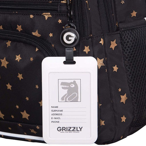 RG-662-1 Рюкзак школьный с картхолдером на держателе - Grizzly фото 33
