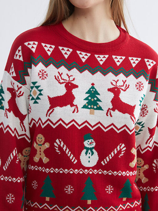 Bisiklet Yaka Y?lba?? Temal? Kad?n Triko Kazak