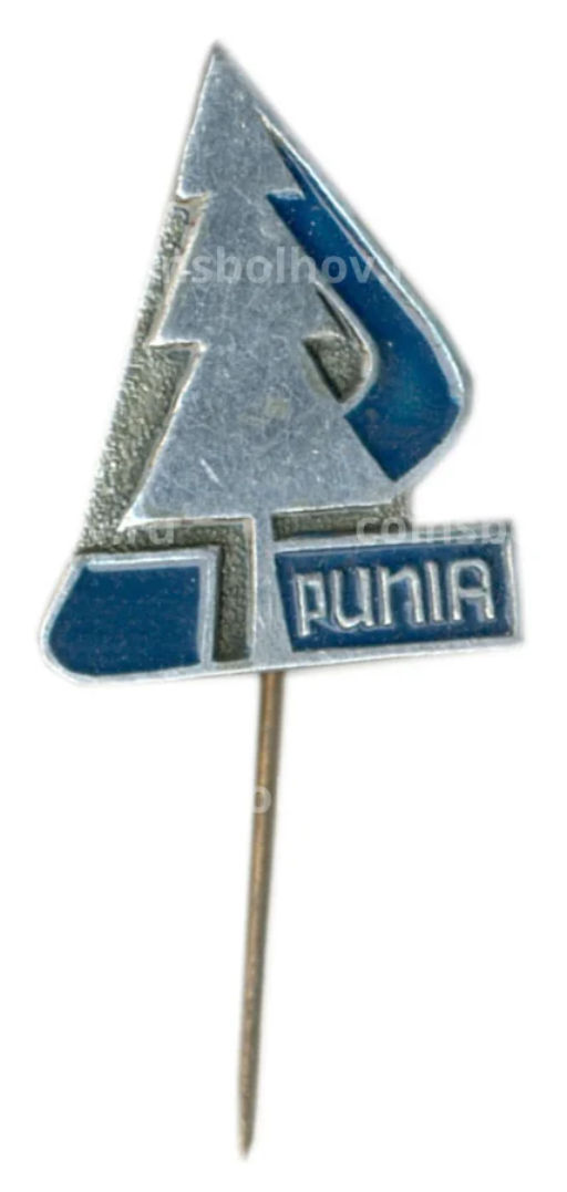 Значок Пуня